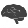 Brain icon