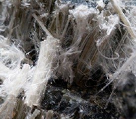 Chrysotile asbestos