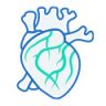 Anatomical heart icon