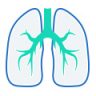 Lung icon